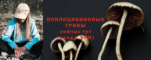 соль ск Медвежьегорск