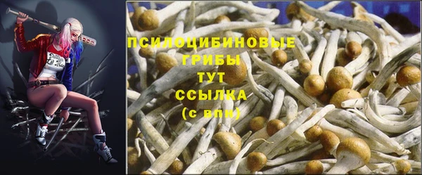 скорость Мегион