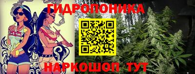 дурь Аргун