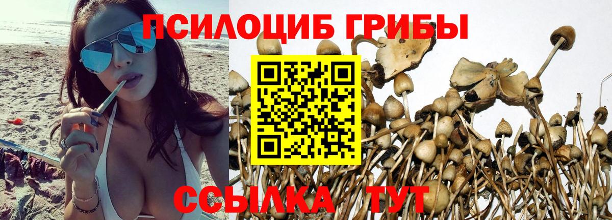 Галлюциногенные грибы Psilocybine cubensis  Вход с VPN  Каспийск 