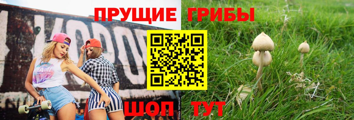 Галлюциногенные грибы Cubensis Каспийск